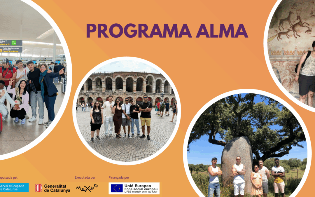 ¿Cómo están nuestros participantes ALMA? : Paso de fase de preparación a fase de movilidad